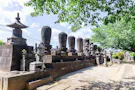 小石川 傳通院