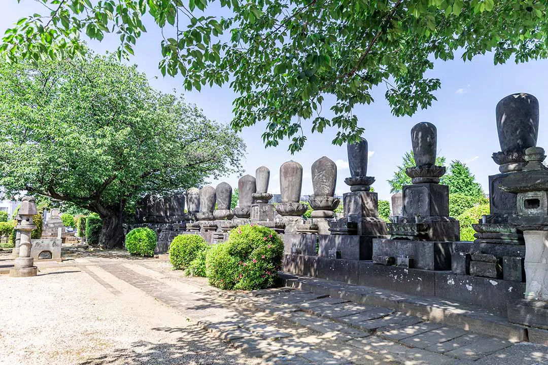小石川 傳通院