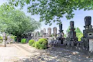 小石川 傳通院