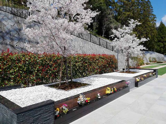 霊源皇寺墓苑 樹木葬