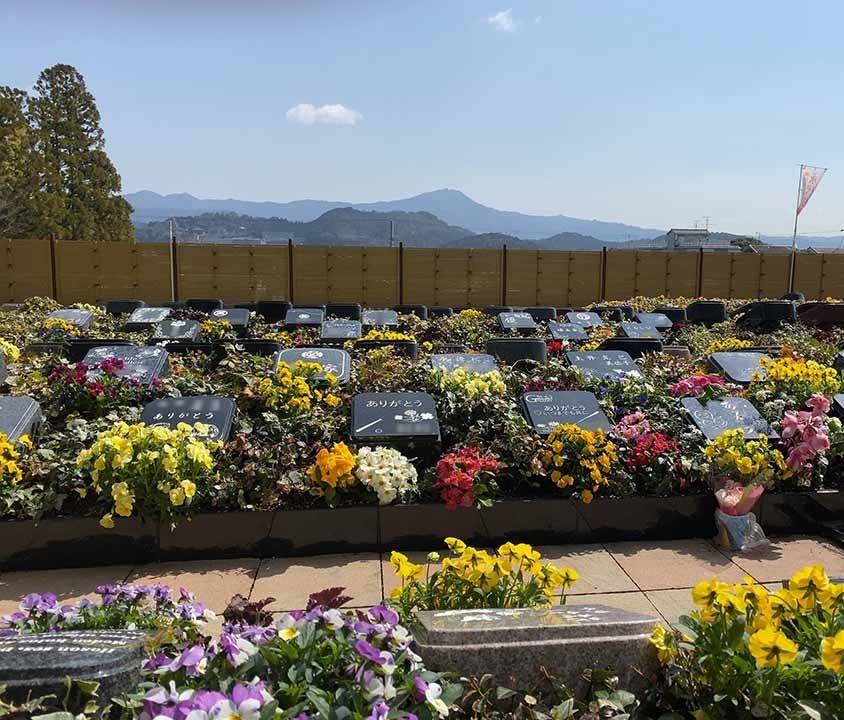 霊源皇寺墓苑 樹木葬の画像