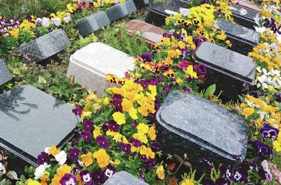 霊源皇寺墓苑 樹木葬