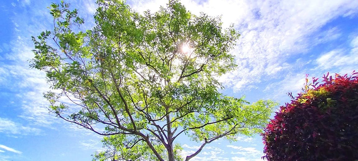はにゅうの霊園