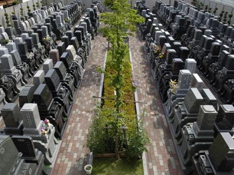 パーク江戸川セントソフィア