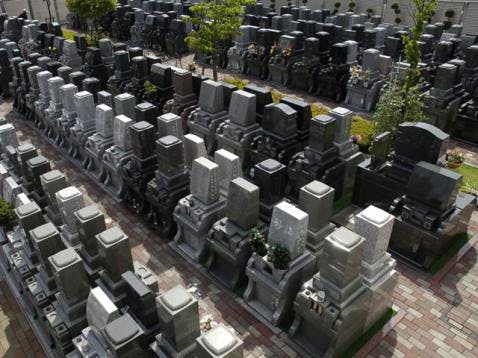 パーク江戸川セントソフィア