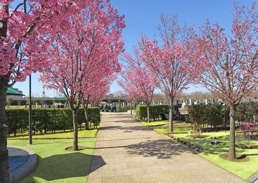 柏中央霊園の画像