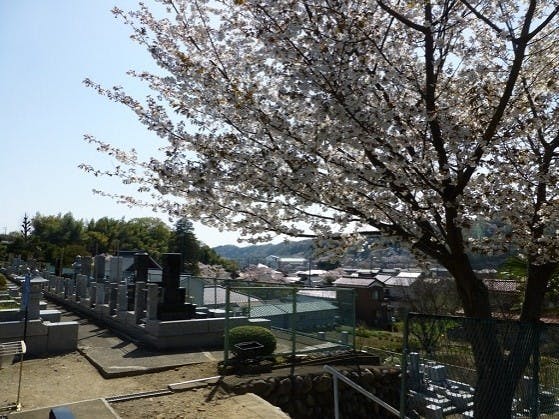 秋川薬師霊苑の画像