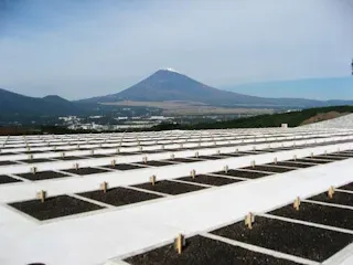 裾野市営墓地