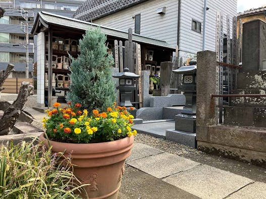 外苑こもれびの杜 樹木葬・永代供養墓