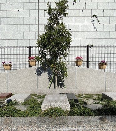 外苑こもれびの杜 樹木葬・永代供養墓