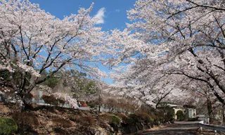 都留聖地霊園