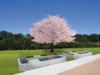 妙宣寺霊園