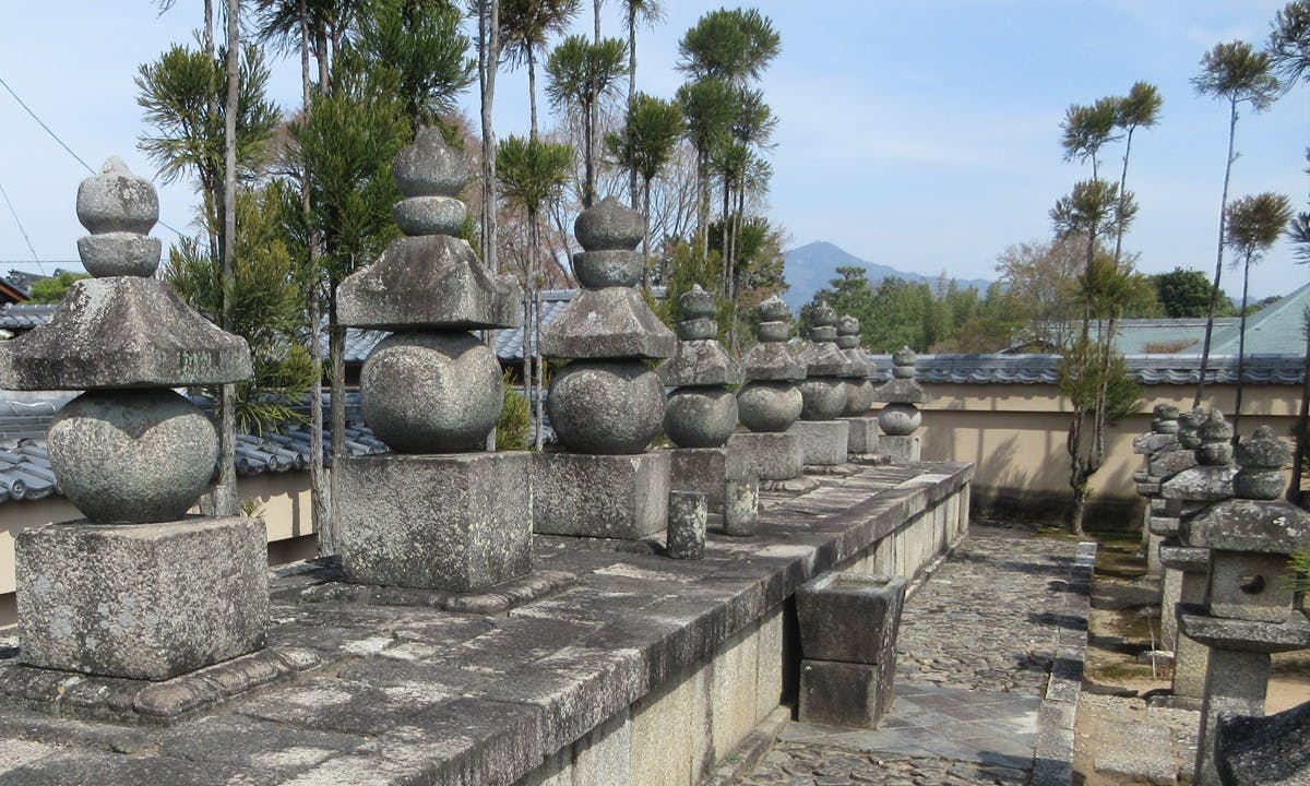 大徳寺塔頭総見院の画像