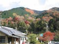 八瀬霊苑 厳かな霊峰比叡山-秋の紅葉