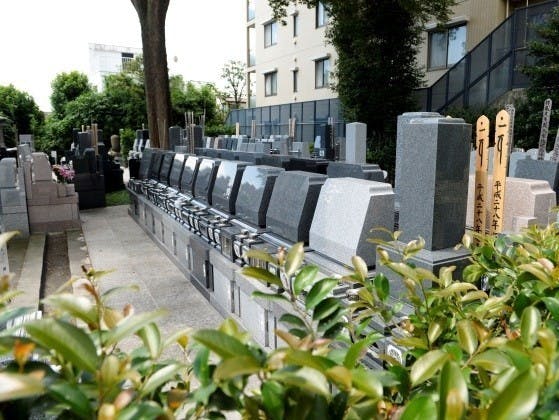 文京こひなた霊園