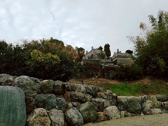 成福寺霊園