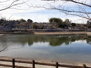 石井町 前山公園墓地
