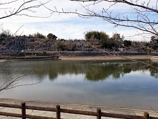 石井町 前山公園墓地