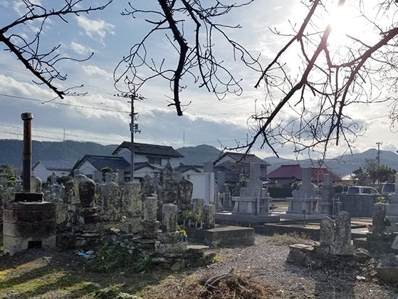 蓮光寺 徳島県石井町 の概要 価格 アクセス 徳島の霊園 Com 無料 資料請求