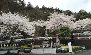 圓満寺霊苑（円満寺霊苑）