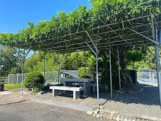 陽光台公園墓地 樹木葬「木もれ陽」第2期