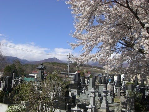 大雄寺墓苑（小諸善光寺）の画像