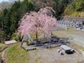 山名霊園 樹木葬墓地「チェリーブロッサム」