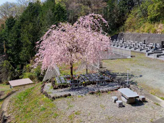 山名霊園 樹木葬墓地「チェリーブロッサム」