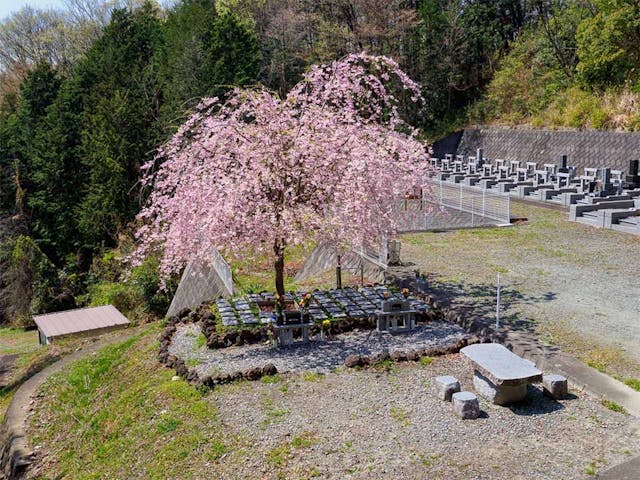 山名霊園 樹木葬墓地「チェリーブロッサム」