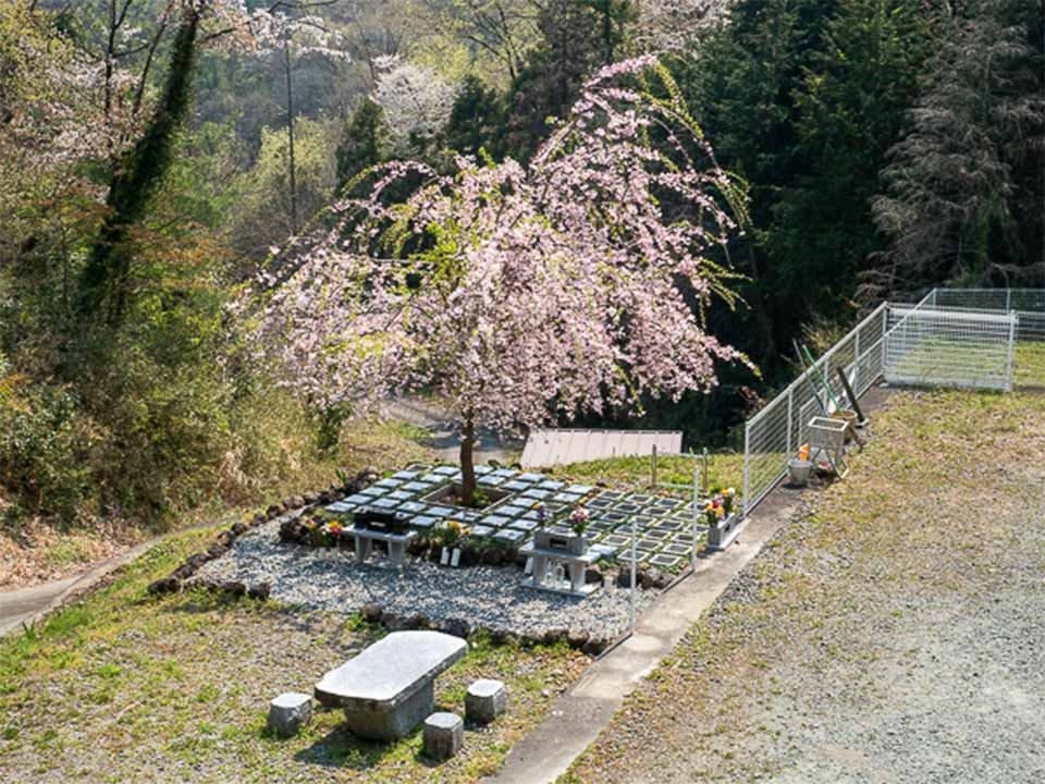 山名霊園 樹木葬墓地「チェリーブロッサム」