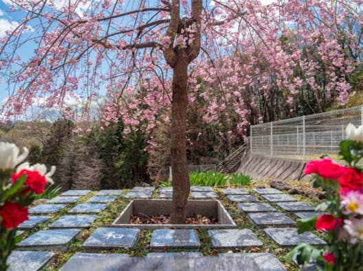 山名霊園 樹木葬墓地「チェリーブロッサム」