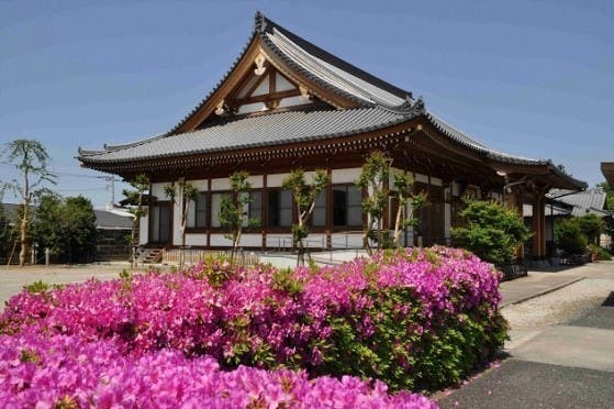 楞嚴寺墓苑の画像