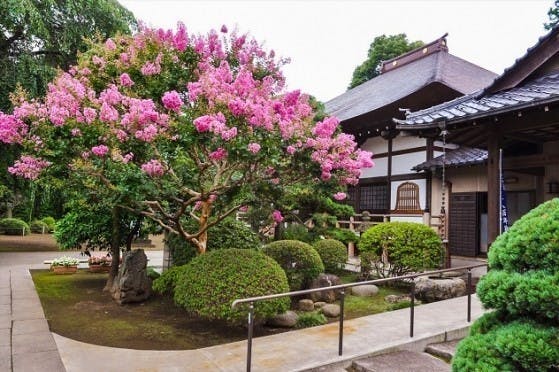 相頓寺墓苑の画像