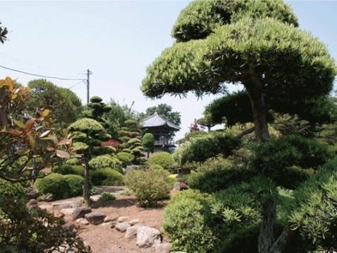 馬蹄寺墓苑の画像