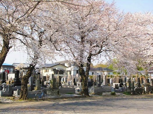 西光寺墓苑 (いつくしみの碑)