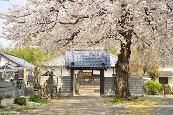 西光寺墓苑 (いつくしみの碑)