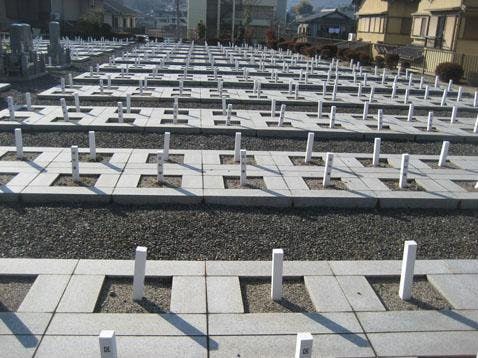 橋本野畑墓地の画像