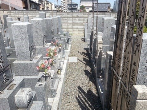寶國寺の画像