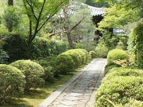 大本山大徳寺塔頭 正受院 京都府京都市北区 の概要 価格 アクセス 京都の霊園 Com 無料 資料請求