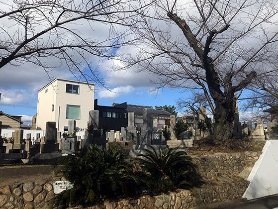 桜塚墓地