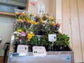 三咲霊園 休憩スペース内ではお花を買うことができます