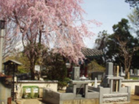 観音寺霊園の画像