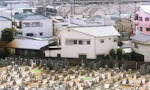 大通寺墓苑 大通寺墓苑