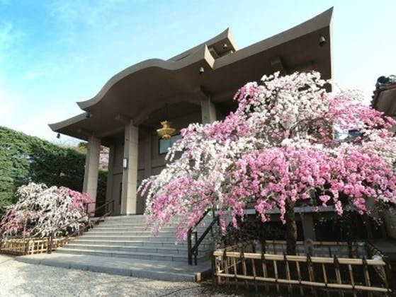文京 小日向 本法寺の画像