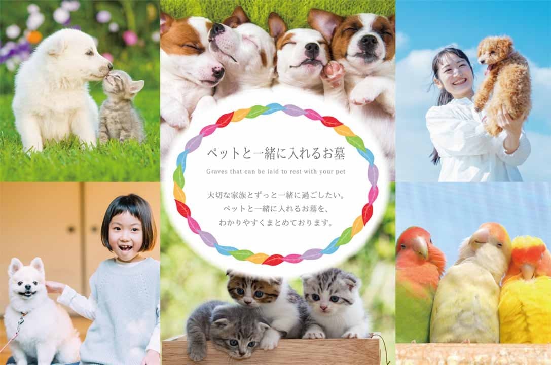 世田谷メモリアル