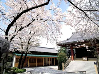 妙圓寺 (妙円寺)