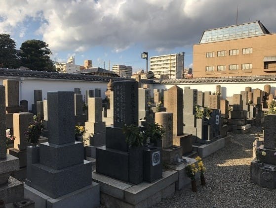 法園寺 樹木葬の画像