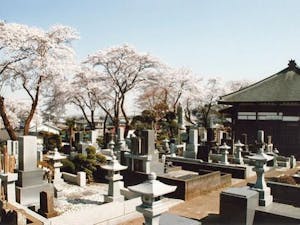 成田山明観寺「ほたるの里霊苑」の画像