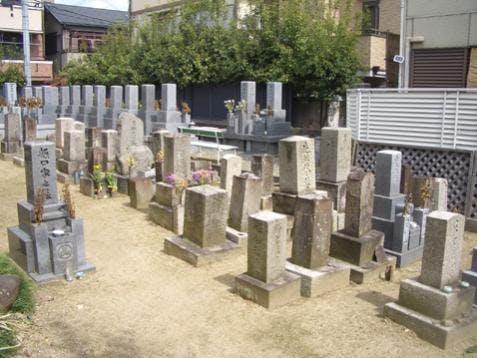 圓成寺墓地の画像