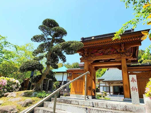 樹木葬・自然葬の高照寺